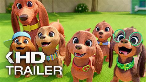 moviesjoy pretzel and the puppies|VIDEO: Apple TV+ Shares PRETZEL & THE PUPPIES Trailer From CURIO.